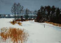 263 Koleje u Snakova.jpg